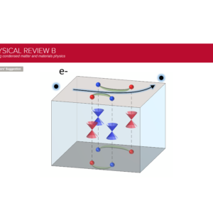 Ferromagnetic Weyl Semimetal